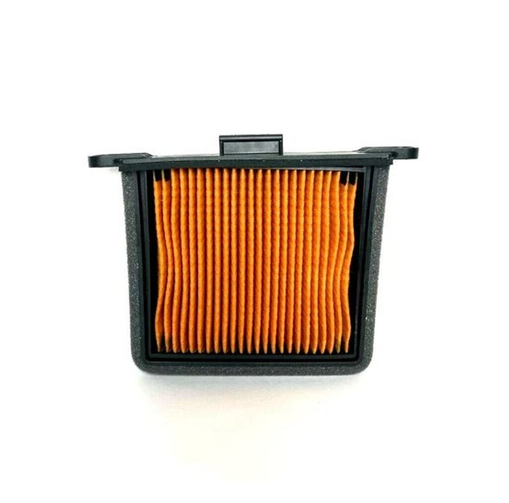 Triumph Фильтр воздушный LHS T2206530