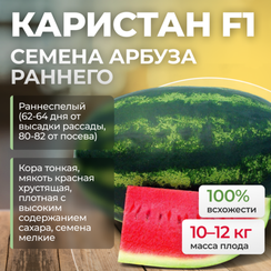 КАРИСТАН F1 семена арбуза (Syngenta | Alexagro)
