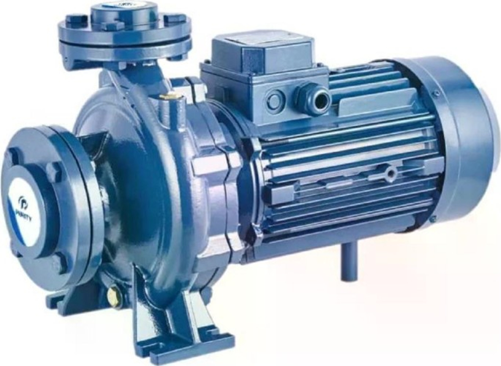 Моноблочный насос PURITY PSTC 50-160/55 100588145