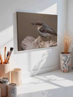 Картина на стену 40 X 50 Птица
