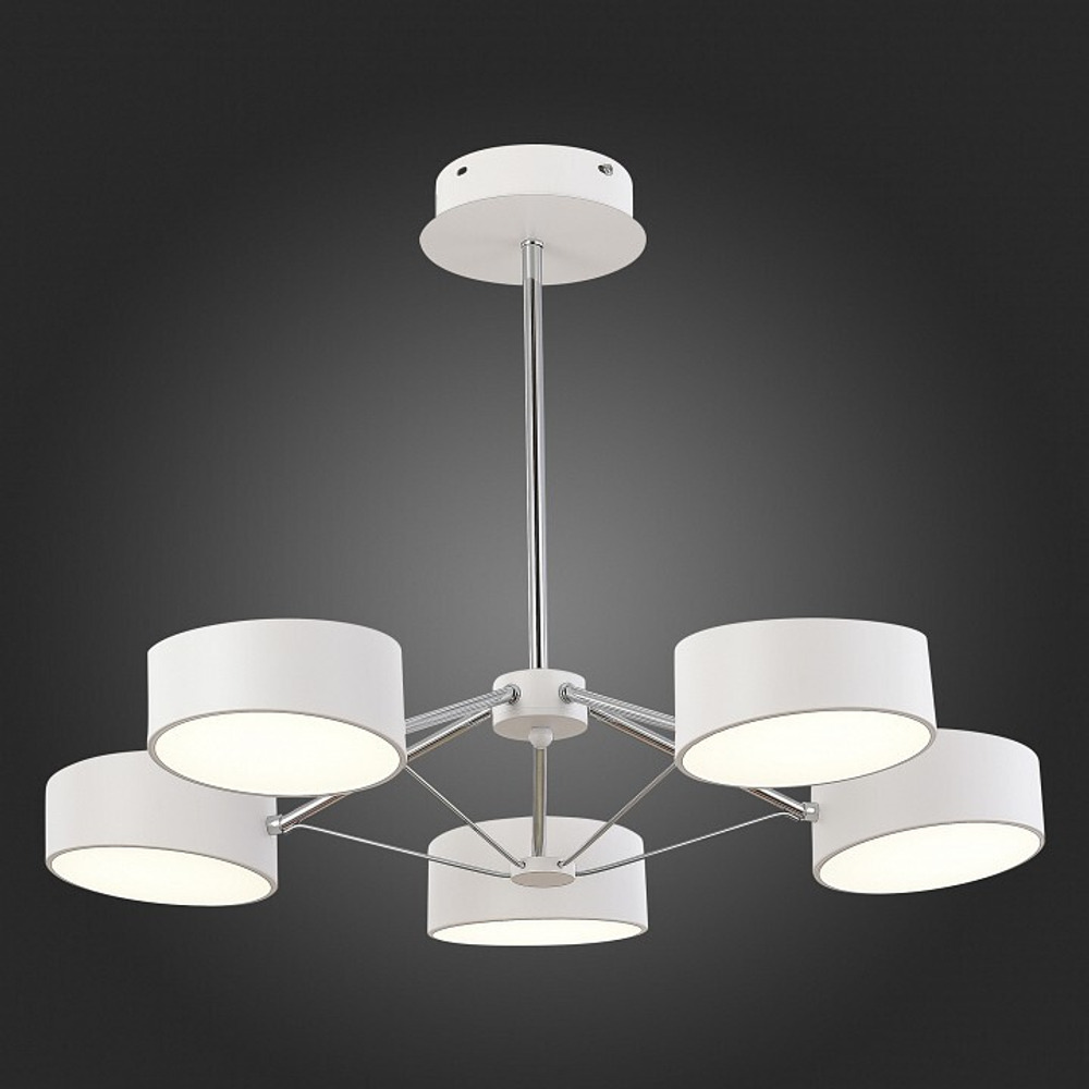 Люстра на штанге EVOLUCE Valle SLE6005-502-05