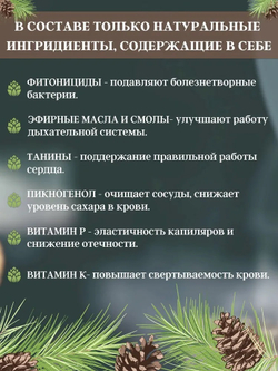 Настойка из зеленых шишек сосны