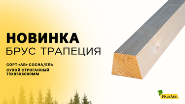 Новинка В Илья-Лес!