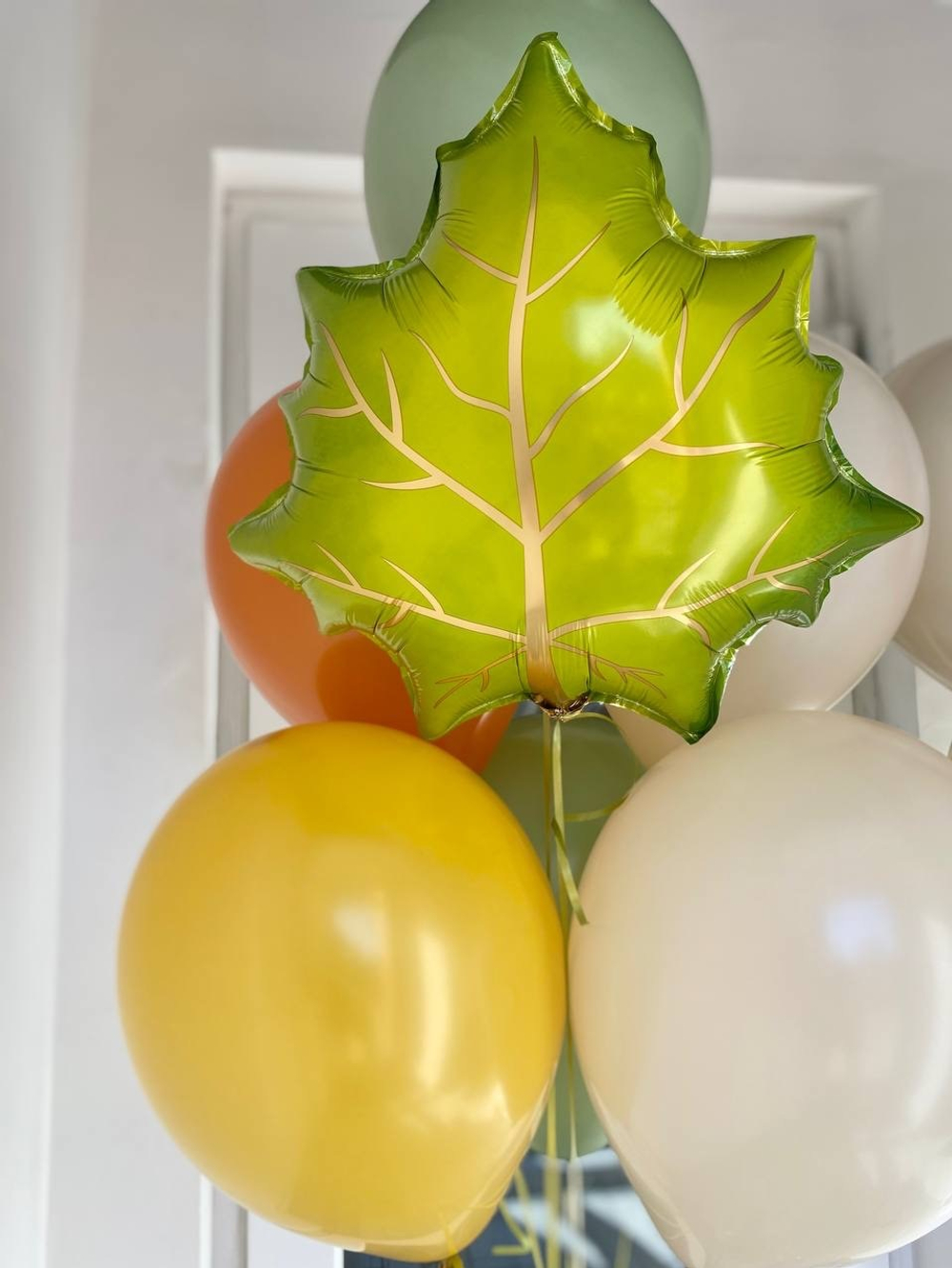 Воздушные шары №1414