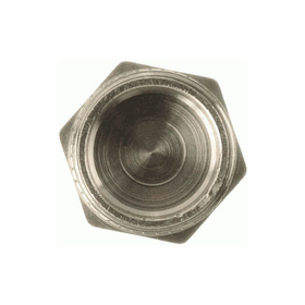 Заглушка в трубу 3\4 TERMA 06026