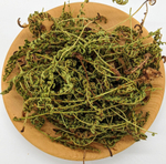 Щитовник пахучий («каменный зверобой»)