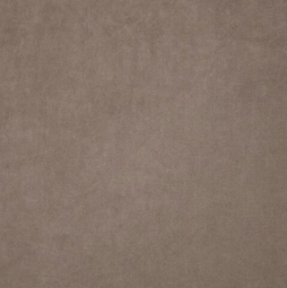 Микровелюр Бэст 02