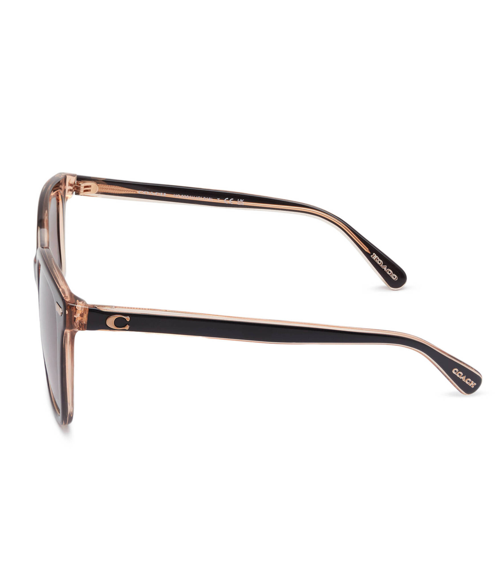 Солнцезащитные очки HC8381U Coach - коричневый(HC8381U)