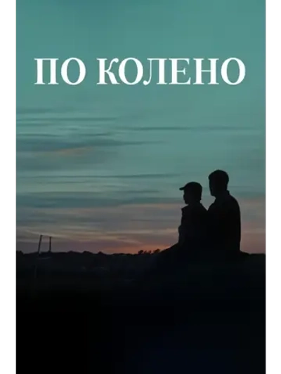 По колено (2025) (DVD-R)