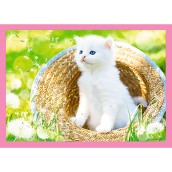 Puzzle "4in1" - Fun cats / Trefl