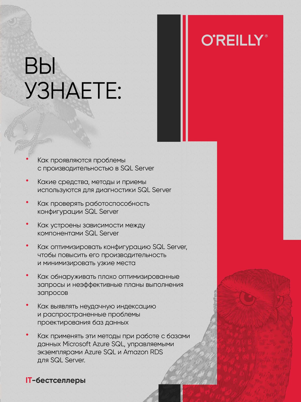 SQL Server. Наладка и оптимизация для профессионалов