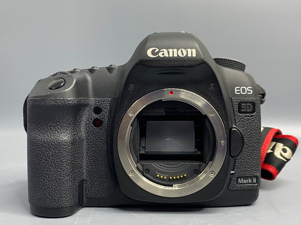 Canon EOS 5D Mark II 31.000 кадров