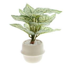 GAEM Цветочная композиция "Каладиум", L20 W20 H21 см