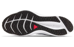 Кроссовки Nike Zoom Winflo 7 Shield