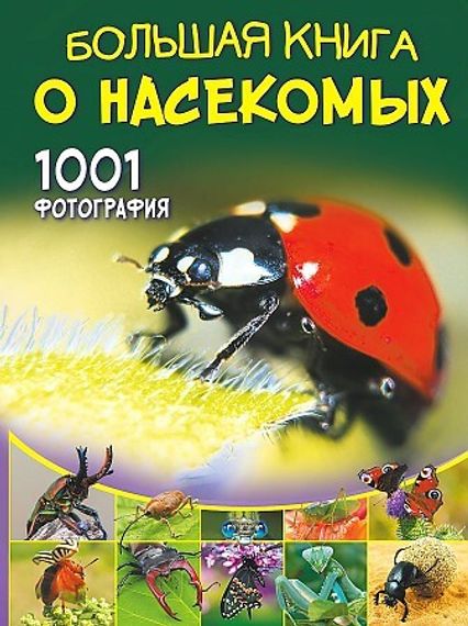 Большая книга о насекомых. 1001 фотография