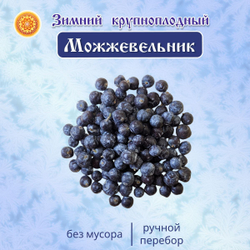 Можжевельник Зимний крупный сушеный.