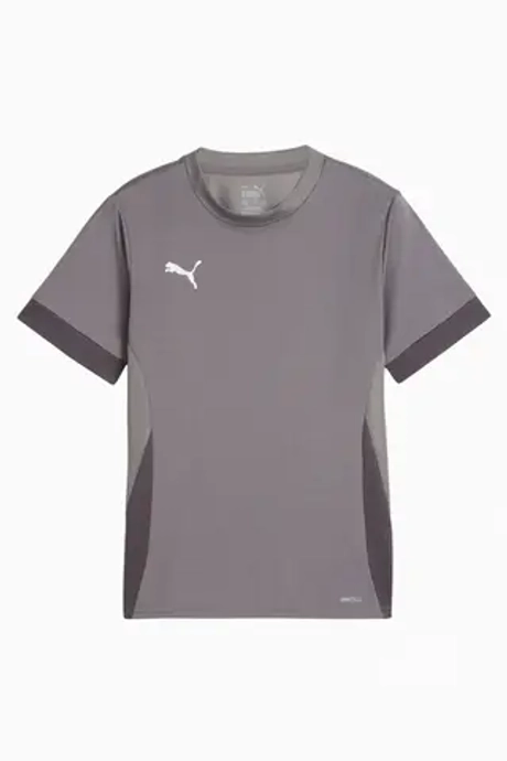 Футболка Puma teamGOAL Matchday Junior - серый