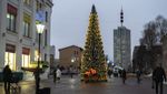 Уличная елка каркасная «Евро-2 Сосна» (Леска бело-зеленая) от 4 до 30 м