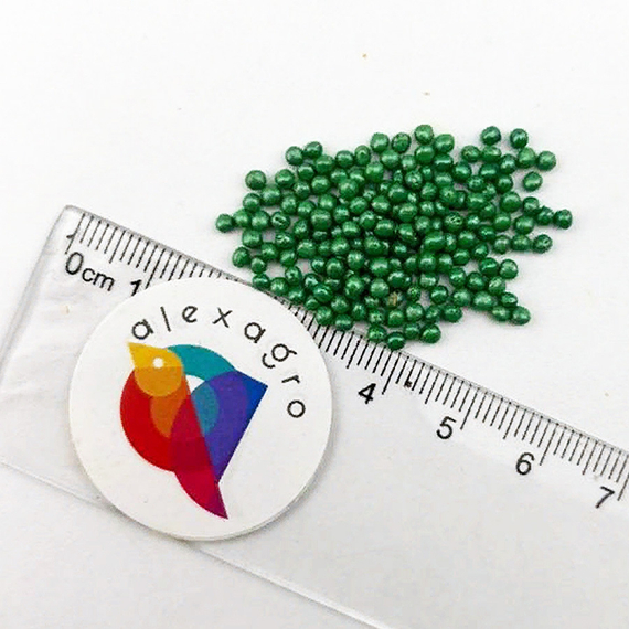 Парел F1 семена капусты белокочанной (Bejo / ALEXAGRO) семена – фото 6