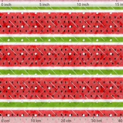 Арбуз by Лисовая Зинаида 1200 DPI