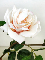 Роза розовая 53 см [Арт. 139802]