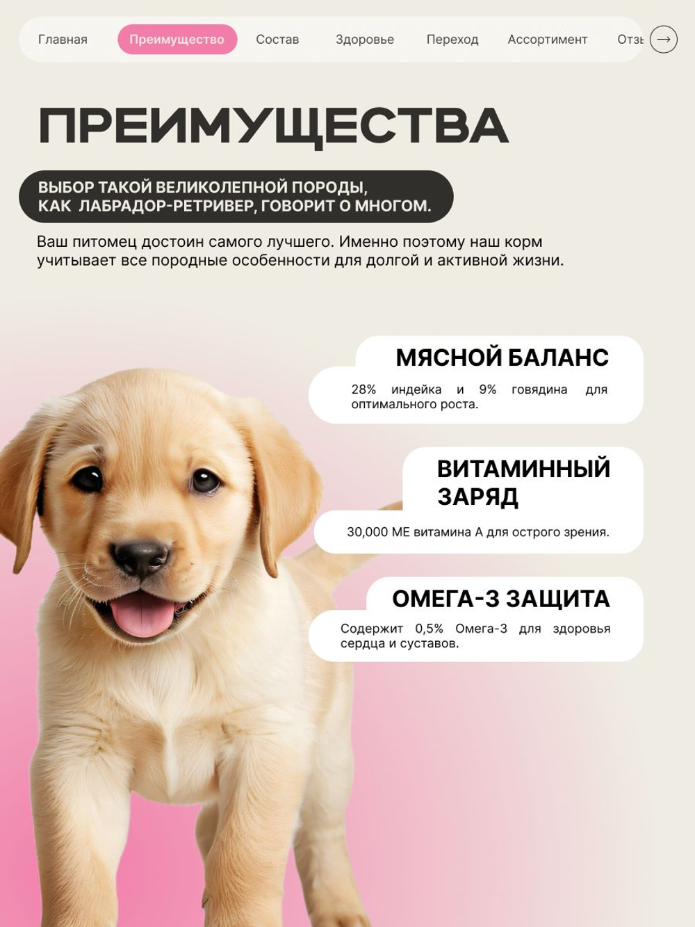 Корм сухой для щенков породы Лабрадор ретривер, с говядиной, 3 кг, QUATTRO