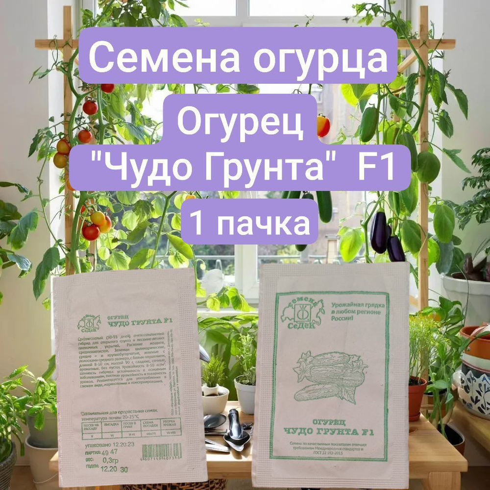 Семена Огурца. Огурец F1 "Чудо Грунта", 0.3 г. (2 упаковки)