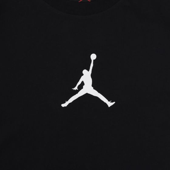 Футболка мужская Jordan Jumpman Dri-Fit артикул:CW5190-010 - купить в магазине Дайс