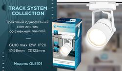 Ambrella Трековый однофазный светильник со сменной лампой Track System GL5101