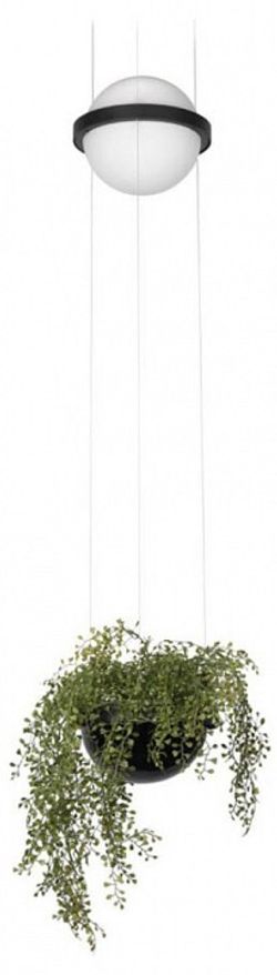 Подвесной светильник Loft it Jardin 10121/B