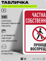 Табличка для частной территории "Частная собственность, проход воспрещен", на дом, для участка, организаций, предупреждающая, 40х30 см, Silver Plane x Айдентика Технолоджи