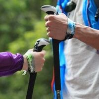 Телескопические палки