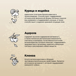 Сухой корм CRAFTIA NATURA для щенков средних и крупных пород из курицы и индейки 2 кг