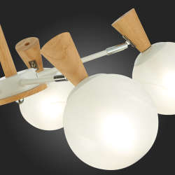 Светильник потолочный Evoluce Catania SLE220702-05