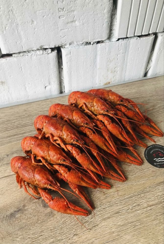Раки целые в укропном рассоле 21- 24 шт / кг
