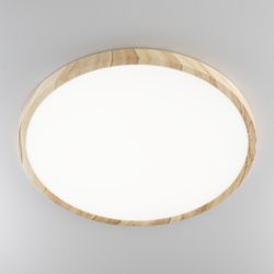 Citilux БейсикCL738322V LED Светильник накладной Клён