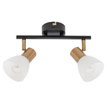Спот A3117PL-2BK черный Falena Arte Lamp