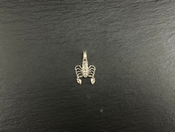 Подвеска. Скорпион