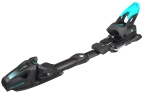HEAD 24/25 экспертный слалом 313264 WC Rebels e-Race SW RP EVO 14 black-white 165 см,170 см без креплений/с креплениями FF 14 GW (NEW )/с креплениями FF 11 GW (NEW)/с креплениями FF11 GW /с креплениями FF EVO14/с креплениями FF DEMO14 GW