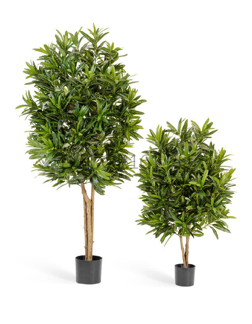 Кротон Голдфингер 105 см 2/2 10.37403N