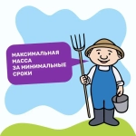 ПК-11 (гр. 2,2 мм)