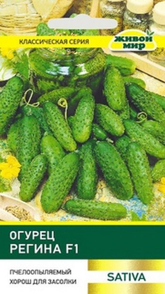 Огурец &quot;Рeгинa F1&quot; 1г, Италия.
