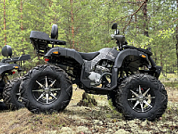 Квадроцикл PROMAX 320 DOMINATOR (2025)
