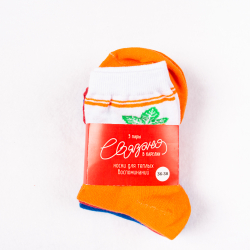 Комплект возрослых носков «Ягоды Карелии», 3 пары