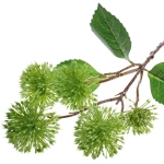 Цветок искусственный «Natur» 50см Каштан зеленый