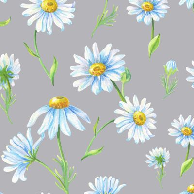 Ромашки на сером