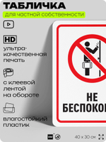 Табличка для частной территории "Не беспокоить", на дом, для участка, организаций и частных территорий, предупреждающая, 40х30 см, Silver Plane x Айдентика Технолоджи