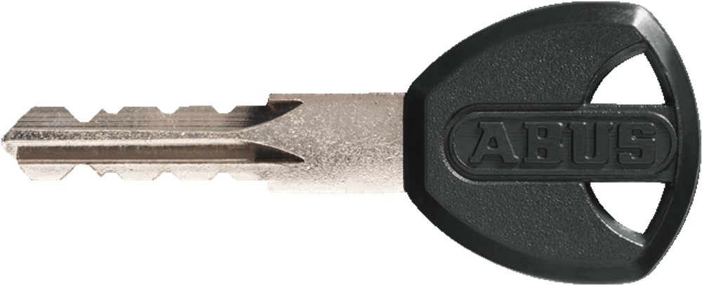 Цепь с замком ABUS 1500 WEB 110 см