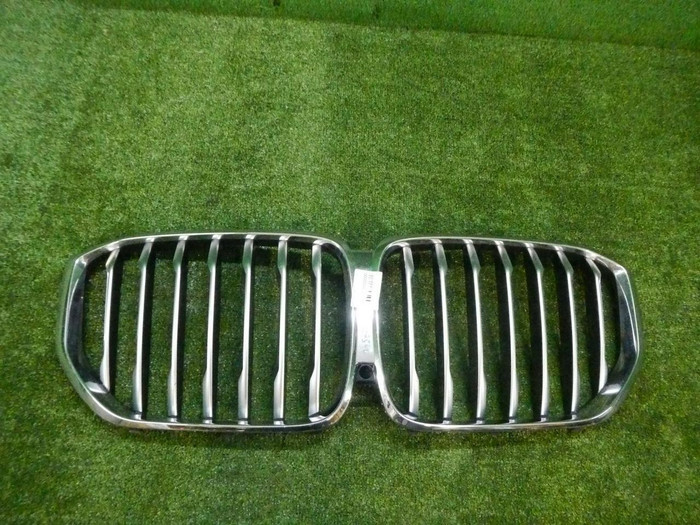 Решетка радиатора BMW X5 G05 (2018-2023)