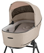 Коляска Inglesina Aptica Darwin i-Size System Quattro 4 в 1 2025 Pashmina Beige
